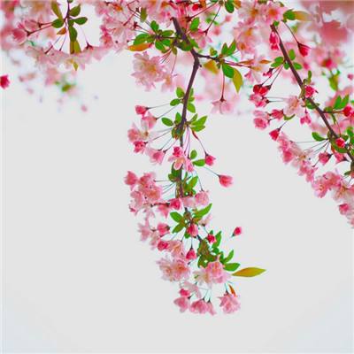 凯发K8官网入口