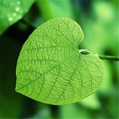 风云体育app下载安装苹果